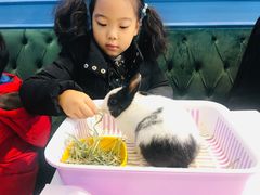 -藦茜花园宠物主题亲子互动体验馆(国顺东路店)
