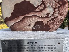 -东莞植物园