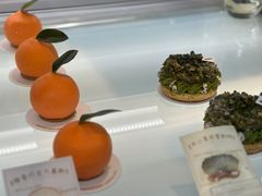 -TD66高山铁皮石斛养生茶饮