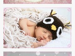 -兜莱·亲亲袋鼠国际早教