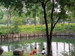 -尚贤河湿地