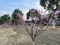 -安徽大学(磬苑校区)
