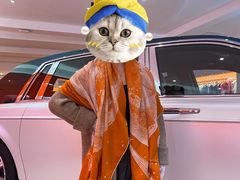 -礼尚往来奢侈品鉴定评估中心