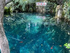 -蝴蝶泉公园