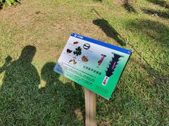 -中国科学院西双版纳热带植物园