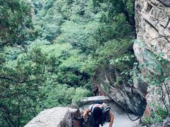 -北京上方山国家森林公园