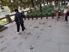 -运河游船(武林门码头)