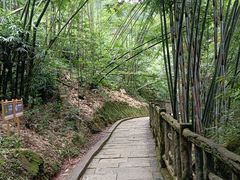 -沐川竹海旅游景区