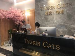 -袖虎·猫馆(体育西路店)
