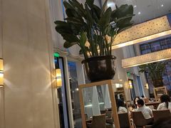 -凯菲厅海鲜姿造·海鲜自助·帝王蟹·龙虾(成都群光君悦酒店)