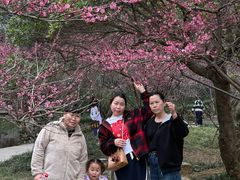 -瑞安圣井山景区