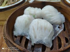 虾饺-华峰食馆(氹仔店)