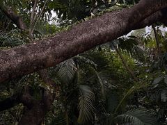 -九龙公园