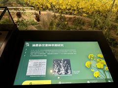 -四川大学博物馆