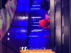 -K+PARTY连锁KTV(盈锋广场店)