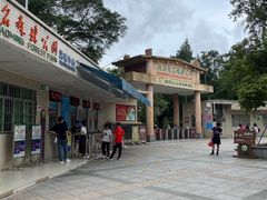 -广东茂名森林公园