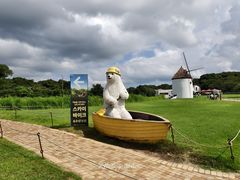 -济州森林小火车生态公园