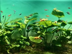 -南昌融创海世界
