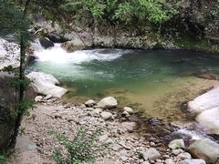 -炎陵县神农谷国家森林公园