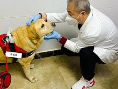 -美联众合动物医院·24h转诊中心