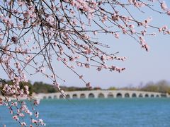 -颐和园