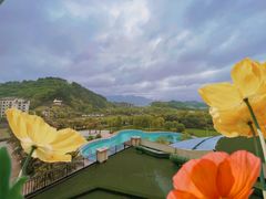 -宜春明月山维景国际温泉度假酒店