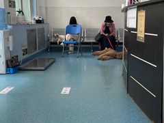 -北京赛佳动物医院