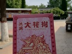 -大槐树寻根祭祖园