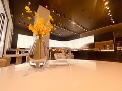 -BLACKSWAN黑天鹅(环球店)