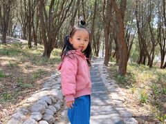 -贮水山儿童公园