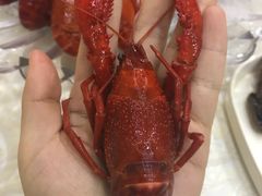 -龙虾奇迹(大华三路店)