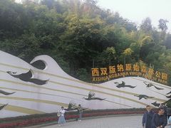 -西双版纳原始森林公园