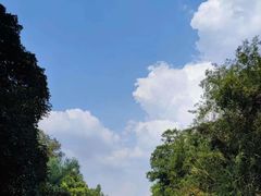 -岳麓山风景名胜区