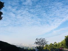 -火炉山森林公园