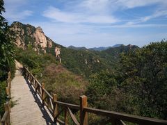 -大岭沟猕猴桃谷风景区