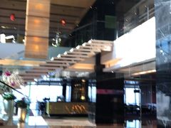 -上海龙之梦万丽酒店