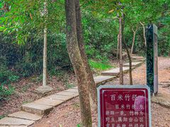 -阳台山森林公园