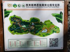 -西双版纳原始森林公园