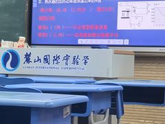 -麓山国际实验学校