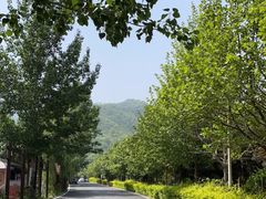 -西安金龙峡风景区