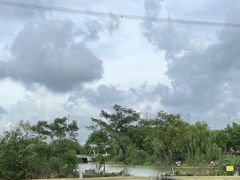 -九里河湿地公园
