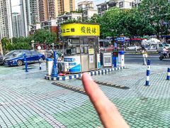 -虾饺妹·酒家(金碧店)