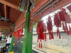 -皇家御河游(紫御湾码头)