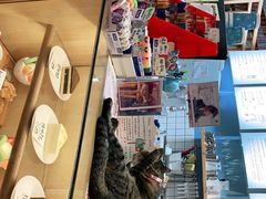 -猫的天空之城概念书店(杭州南宋御街店)