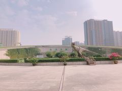 -陕西自然博物馆