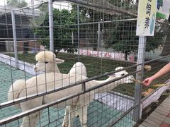 -迪茵湖田家舍生态农场