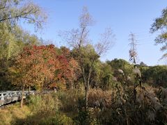 -西湖风景区-江洋畈生态公园