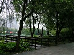 -新江湾城公园
