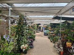 -龙大花卉苗木市场