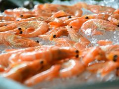 -佰园全日西餐厅-厦门佰翔软件园酒店